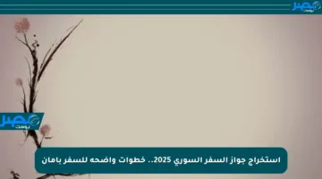 استخراج جواز السفر السوري 2025.. خطوات واضحة للسفر بأمان